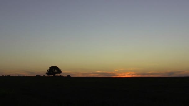 Sunrise in the steppe. Time lapse — Stock Video