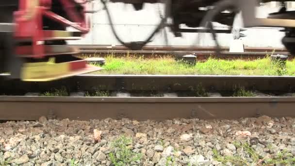Kommer hjulen på ett gammalt tåg i hög grad. ljud. — Stockvideo