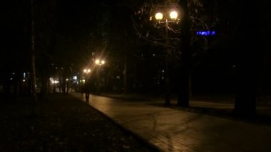 gece park siluetleri ile. zaman atlamalı