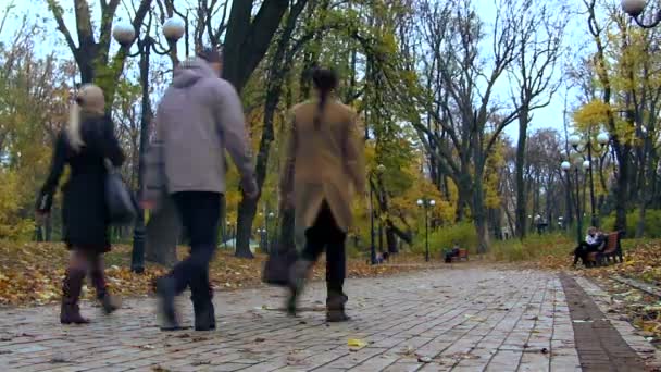 Park with silhouettes. Time lapse — Stock Video