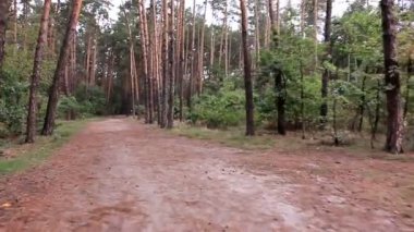 ahşap bir parça. steadycam vurdu.