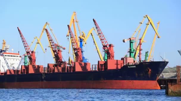 Guindastes carregam a nave. Desfasamento temporal — Vídeo de Stock