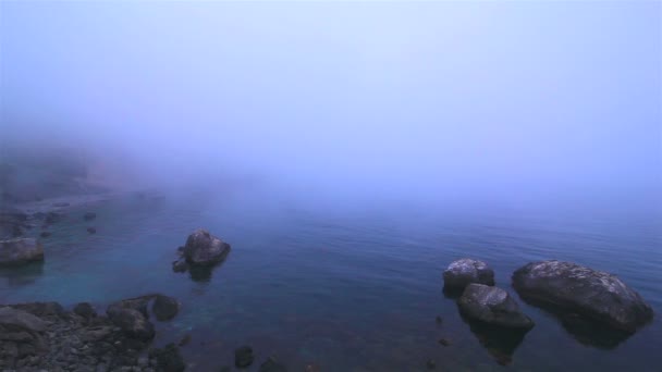 Mořské pobřeží v mlze. krajina — Stock video
