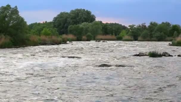 Río de montaña con árboles. Paisaje — Vídeo de stock