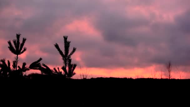 Movimiento de nubes en el cielo carmesí. Caducidad — Vídeos de Stock