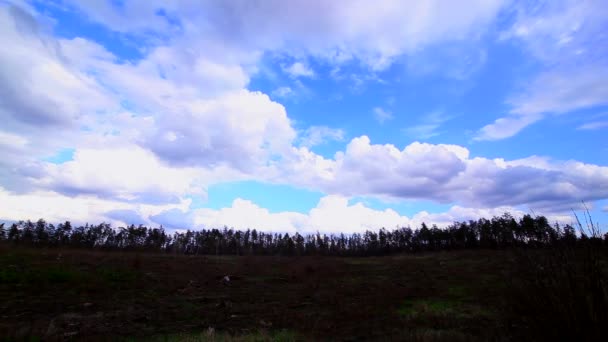 Nuvens brancas e o céu azul sobre a madeira. Desfasamento temporal — Vídeo de Stock