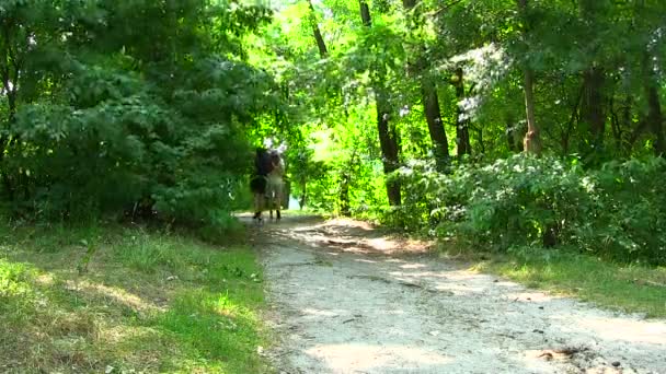 Jonge man en meisje gaan op een wandelpad in het bos — Stockvideo