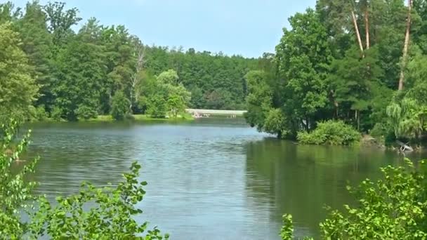 Étang en bois avec des silhouettes de personnes. Approche caméra 
