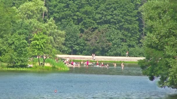 Σιλουέτες των ανθρώπων κολύμβησης σε μια ξύλινη λίμνη — Αρχείο Βίντεο