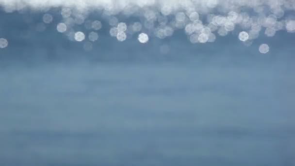 노의 모양에 있는 밝은 반점 — 비디오