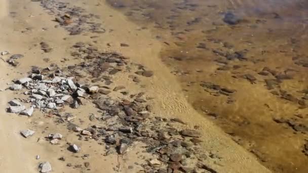투명 한 물으로 강둑 — 비디오