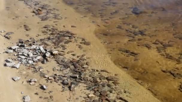 La orilla del río con agua transparente — Vídeos de Stock