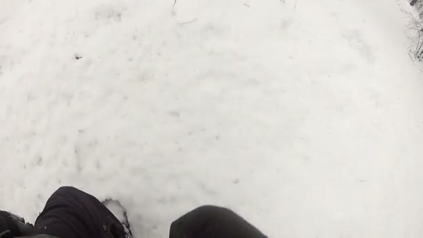 Marcher sur les flots de neige dans le bois — Video