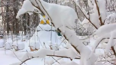 Kış çocuk dolambaçlı. stabilize kamera