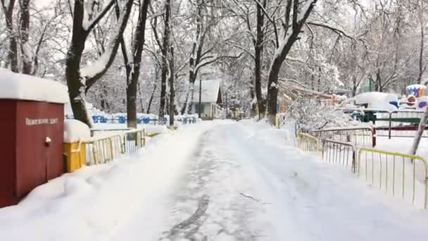 Lopen op winter park. gestabiliseerde camera — Stockvideo