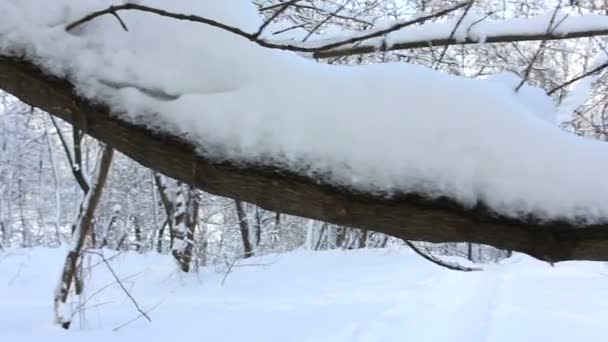 Lifting on a ladder in the winter. Stabiized video — Stock Video