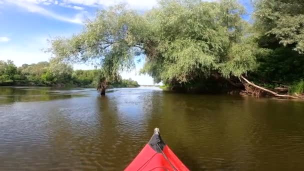 Kayak Lement Egy Folyón Fák Alatt Utazóhajó Táj — Stock videók