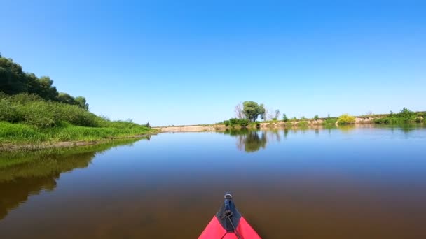 藻と草で穏やかな青い川に赤いカヤック ボートチーム — ストック動画