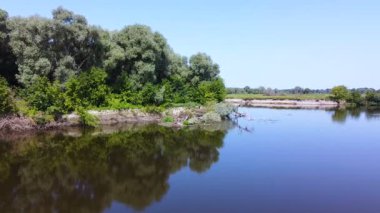 Yaşlı ağaçlar ve odunlarla dolu yaz nehri. Hava manzarası