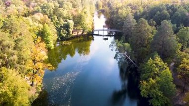 Göl, sonbahar ormanlarında köprü ve sarı ağaç. Gökyüzü manzaralı.