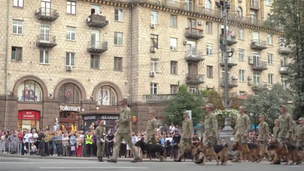 Ukrajna, Kijev - Augusztus 18, 2021: Shepherd szolgálati kutyák a határőrség.Ukrán katonai felvonulás a felvonuláson. Katonai gyalogság. Férfiak az utcán. Katonai egyenruha. Harci lépés. Gyalogság és leszállás — Stock videók