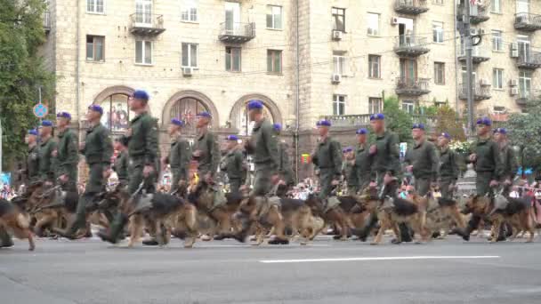 乌克兰，基辅- 2021年8月18日：在边境守卫的牧羊犬。陆军步兵。男人在街上。军服战斗的步伐。步兵和登陆 — 图库视频影像