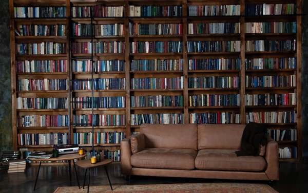 Bookshelves in the library. Large bookcase with lots of books. Sofa in the room for reading books. Library or shop with bookcases. Cozy book background. Bookish bookstore bookshop.