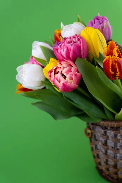 Mischung aus Frühlingsblumen. Hintergrund mit Blumen Tulpen Nahaufnahme verschiedenen Farben. Vielfarbige Frühlingsblume. Geschenk. Rot, rosa, weiß und gelb. Strauß in einem Korb. Vase. — Stockfoto