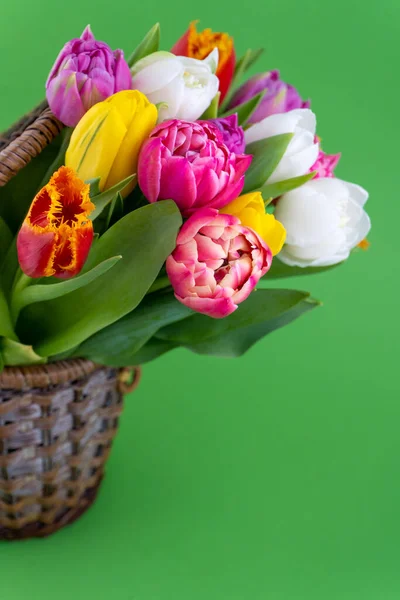 Mischung Aus Frühlingsblumen Hintergrund Mit Blumen Tulpen Nahaufnahme Verschiedenen Farben — Stockfoto