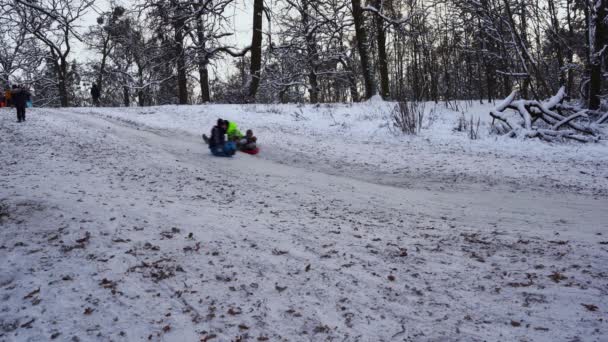 Ucrania, Kiev - 15 de enero de 2021: Gente en trineo en una colina de nieve. Los niños viajando por el tobogán en un trineo de plástico en el día nevado de invierno. Feliz infancia. Está nevando afuera. Diversión de vacaciones — Vídeos de Stock