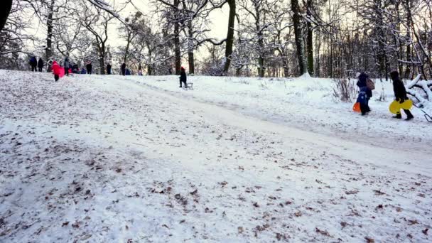 Ucrânia, Kiev - 15 de janeiro de 2021: pessoas andando de trenó em uma colina de neve. Crianças descendo a corrediça em um trenó de plástico no inverno dia nevado. Feliz infância. Está nevando lá fora. Diversão de férias — Vídeo de Stock