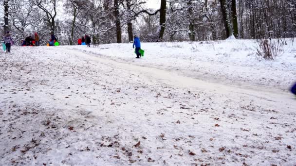 Ucraina, Kiev - 15 gennaio 2021: La gente va in slitta su una collina innevata. Bambini che cavalcano lo scivolo su una slitta di plastica in inverno giorno nevoso. Buona infanzia. Fuori nevica. Divertimento vacanza — Video Stock