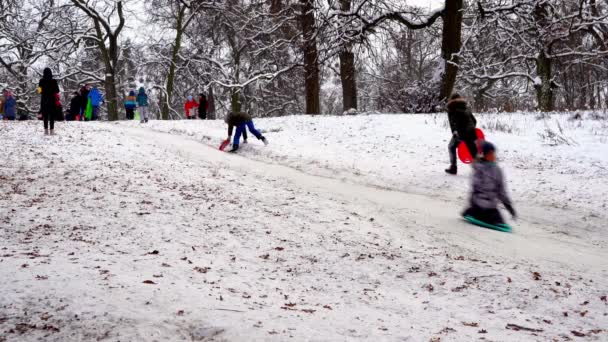 Ukraina, Kijów - 15 stycznia 2021: Ludzie zjeżdżający na śnieżnym wzgórzu. Dzieci zjeżdżające ze zjeżdżalni na plastikowych saniach w zimowy śnieżny dzień. Szczęśliwego dzieciństwa. Na zewnątrz pada śnieg. Zabawa wakacyjna — Wideo stockowe