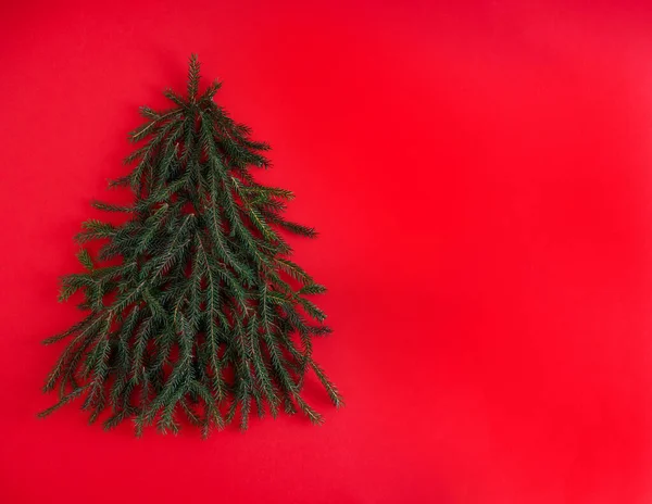 圣诞绿色背景。松枝、针头和圣诞树。从上面看圆形框架结构，文本放在原处。圣诞节的背景。十二月的情绪概念。复制空间 — 图库照片