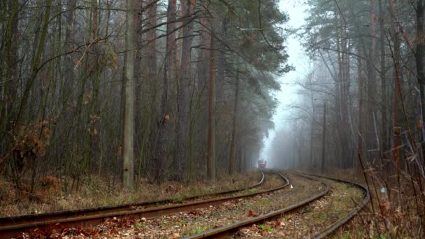 Tramwaje jeżdżą po torach w lesie. Mglisty dzień jesienią. Przyjazny środowisku transport miejski. Kijów, Ukraina. Elektryczny tramwaj. Mgła. — Wideo stockowe