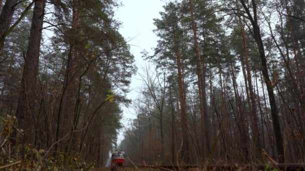 Το τραμ βόλτες στις ράγες του δάσους. Ομιχλώδης μέρα το φθινόπωρο. Φιλικές προς το περιβάλλον αστικές μεταφορές. Κίεβο, Ουκρανία. Ηλεκτρικό τραμ. Ομίχλη. — Αρχείο Βίντεο