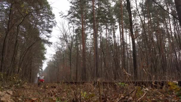 Το τραμ βόλτες στις ράγες του δάσους. Ομιχλώδης μέρα το φθινόπωρο. Φιλικές προς το περιβάλλον αστικές μεταφορές. Κίεβο, Ουκρανία. Ηλεκτρικό τραμ. Ομίχλη. — Αρχείο Βίντεο