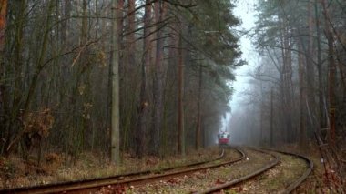 Ormandaki tramvay rayların üzerinde. Sonbaharda sisli bir gün. Çevre dostu şehir ulaşımı. Kiev, Ukrayna. Elektrikli tramvay. Sis. Uzun çam ağaçları, çam ağaçları. Doğa manzarası.