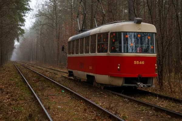 Tram Rides Rails Forest Foggy Day Autumn Environmentally Friendly City — Stock Photo, Image