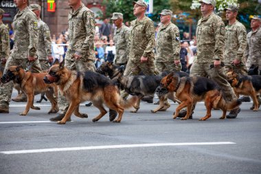 Ukrayna, Kiev - 18 Ağustos 2020: çoban köpekli sınır muhafızları. Geçit törenindeki ordu. Bekçi köpeği olan bir asker. Devletin hizmetindeki çoban köpeği. Askerler yürüyor.