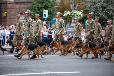 Ukrayna, Kiev - 18 Ağustos 2020: çoban köpekli sınır muhafızları. Geçit törenindeki ordu. Bekçi köpeği olan bir asker. Devletin hizmetindeki çoban köpeği. Askerler yürüyor.