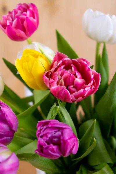 Mischung aus Frühlingsblumen. Hintergrund mit Blumen Tulpen Nahaufnahme verschiedenen Farben. Vielfarbige Frühlingsblume. Geschenk. Rot, rosa, weiß und gelb. — Stockfoto