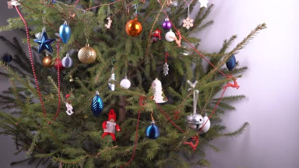 Árbol de Navidad en casa. Decoración. Las ramas de coníferas verdes se cierran. Decora el árbol de Navidad con juguetes y pelotas. Nochevieja. Vida en casa. Juguetes simples varios. — Vídeo de stock