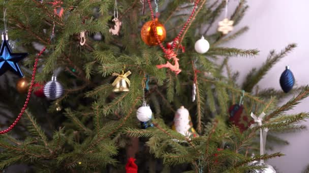 Christmas tree at home. Decor. Green coniferous branches close up. Decorate the Christmas tree with toys and balls. New Years Eve. Home life. Simple miscellaneous toys. — Vídeo de Stock