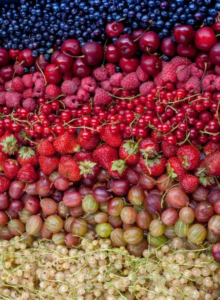 Nahaufnahme von verschiedenen Beeren. Rote Johannisbeere, Stachelbeere, Himbeere, Erdbeere, schwarze Johannisbeere, Kirsche. Ernte. Berry Hintergrundkonzept. Vitaminspeise im Sommer — Stockfoto