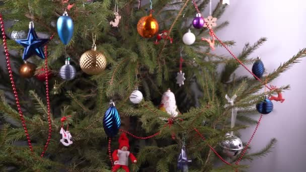 Evde Noel ağacı var. Dekorasyon. Yeşil kozalaklı dallar kapanıyor. Noel ağacını oyuncaklar ve toplarla süsleyin. Yeni yıl arifesi. Ev hayatı. Basit çeşitli oyuncaklar.. — Stok video