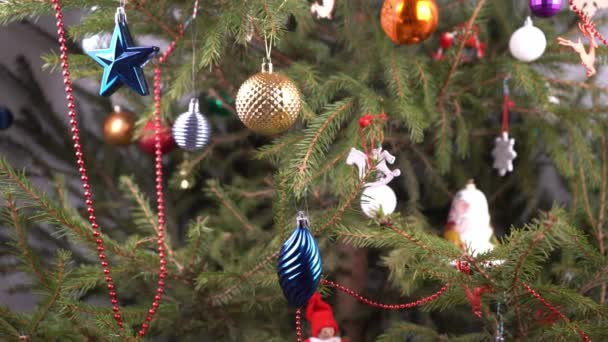 Vánoční stromek doma. Výzdoba. Zelené jehličnaté větve se zavírají. Zdobit vánoční stromek s hračkami a míčky. Silvestr. Domácí život. Jednoduché různé hračky. — Stock video