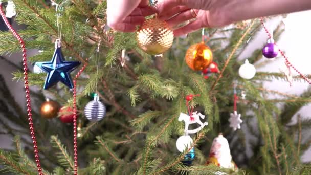 Χριστουγεννιάτικο δέντρο στο σπίτι. Διακόσμηση. Πράσινα κωνοφόρα κλαδιά κλείνουν. Διακοσμήστε το χριστουγεννιάτικο δέντρο με παιχνίδια και μπάλες. Παραμονή Πρωτοχρονιάς. Οικογενειακή ζωή. Διάφορα απλά παιχνίδια. — Αρχείο Βίντεο