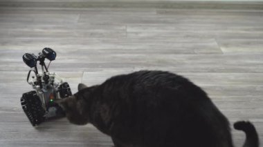 Kontrol panelindeki çocuk tasarımcıdaki robot. Eğitici oyuncaklar. Uzaktan kumandalı bir robot yerde geziyor. Robotlar iş başında
