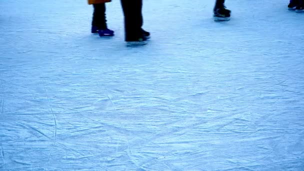 Ice skating rink in winter. People are skating. Skates ride on ice. Ice skating is a winter sport and entertainment. Womens, childrens, mens legs go. — Stockvideo